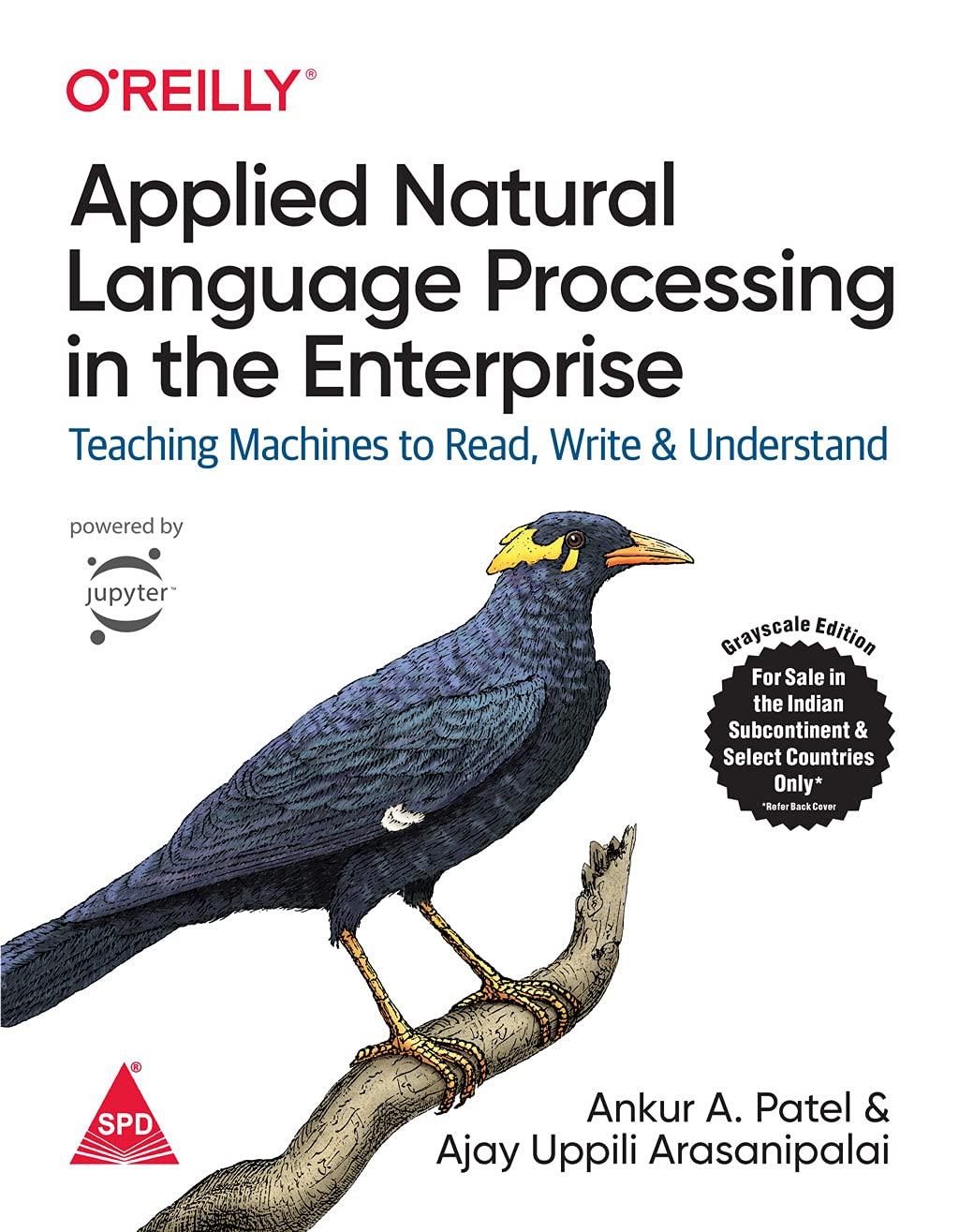 Applied Natural Language Processing in the Enterprise - BOOKZONE