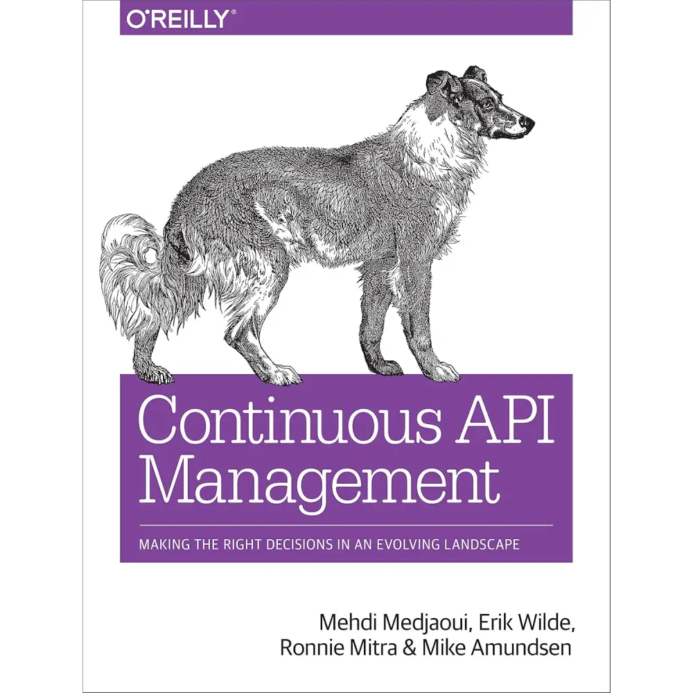 Continuous API Management: Making the Right Decisions in an Evolving Landscape (Paperback)