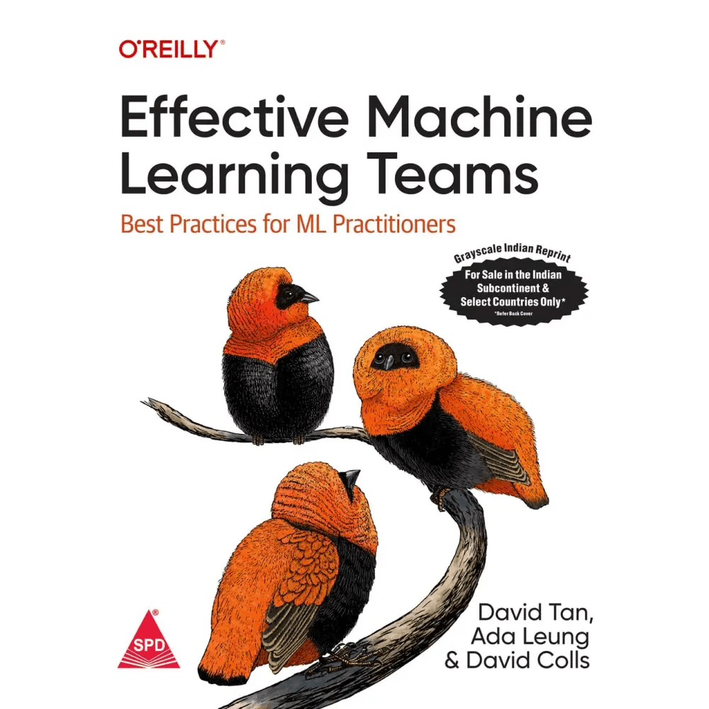 Effective Machine Learning Teams - BOOKZONE