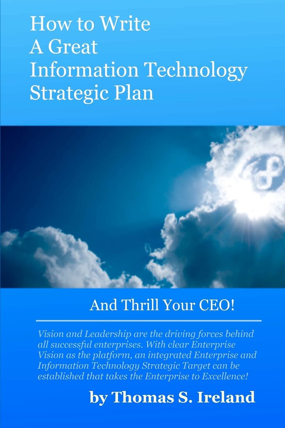How To Write A Great Information Technology Strategic Plan - And Thrill Your CEO (Paperback)