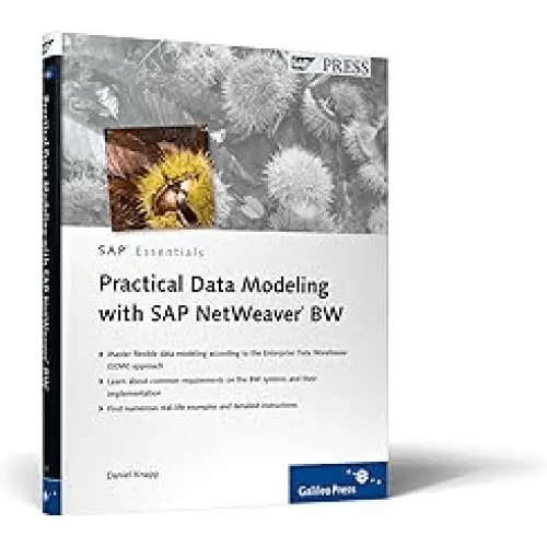 PRACTICAL DATA MODELING WITH SAP NETWEAVER BW - BOOKZONE