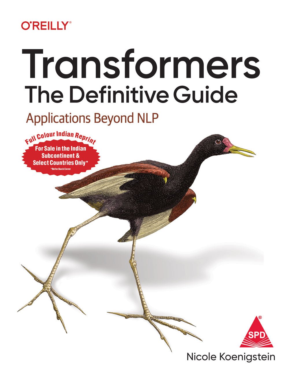 Transformers: The Definitive Guide (Full Colour) Applications Beyond NLP - BOOKZONE