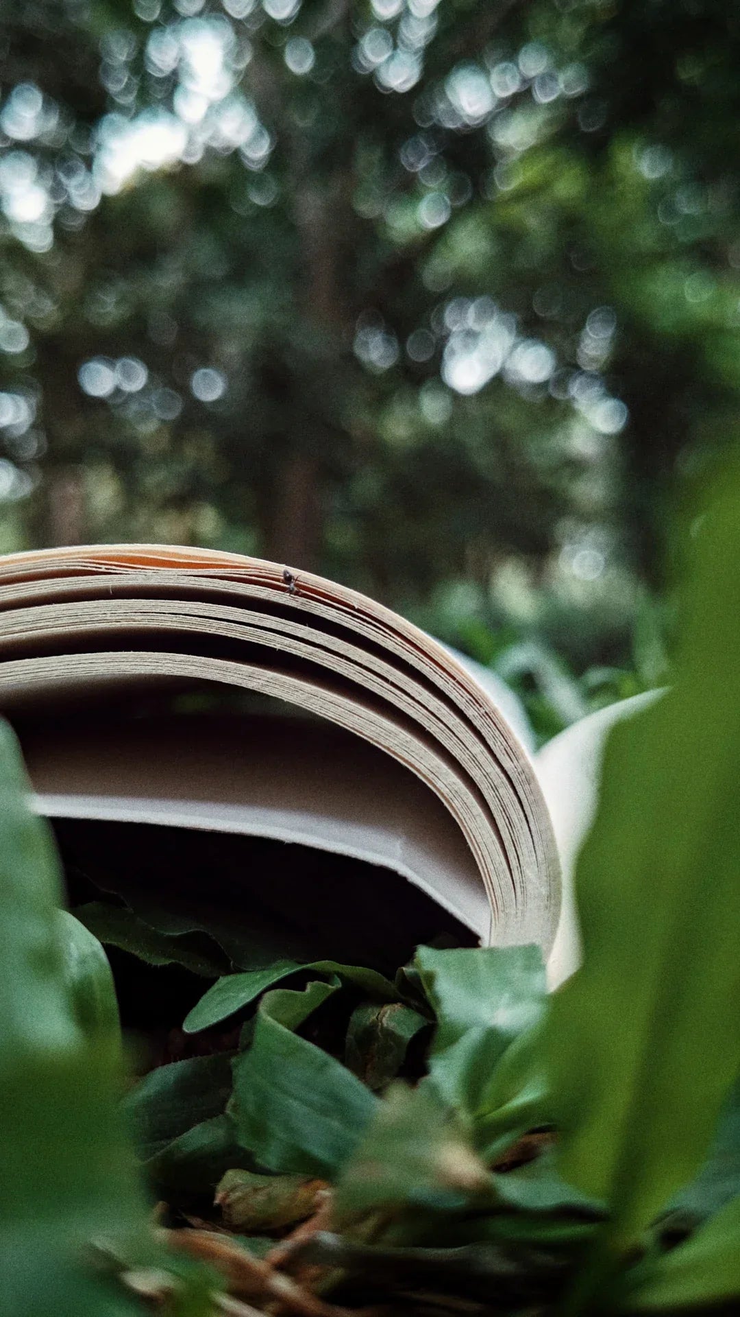 Sustainable Publishing: The Future of Engineering Literature - BOOKZONE