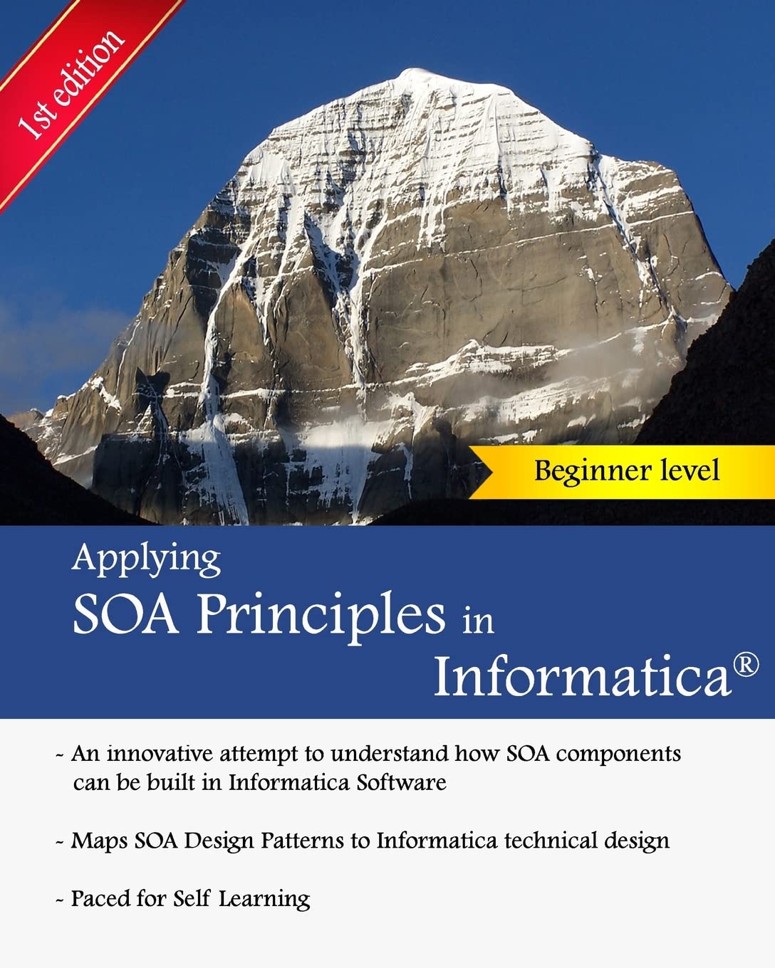 Applying SOA Principles in Informatica: Applying Service Oriented Architecture (SOA) principles in Informatica
