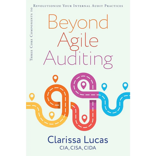Beyond Agile Auditing