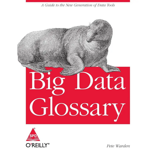 Big Data Glossary (Paperback)