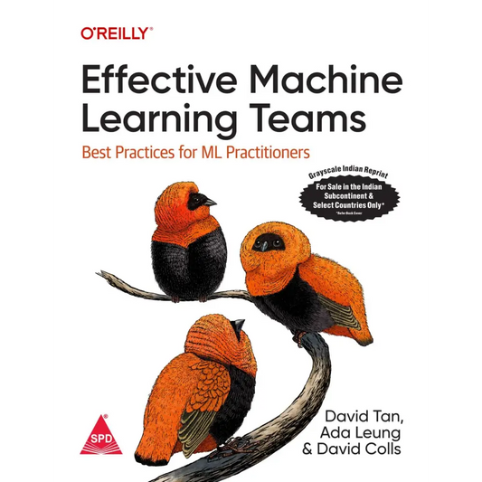 Effective Machine Learning Teams