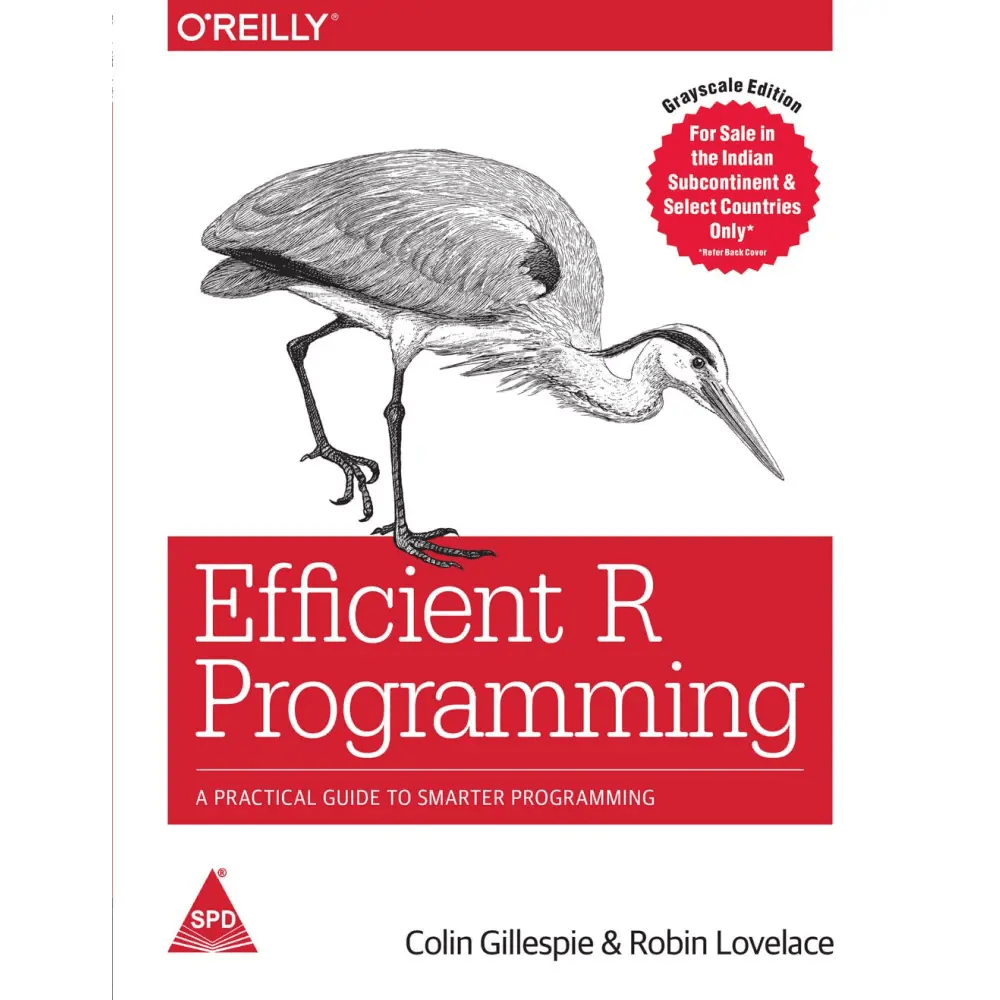 Efficient R Programming: A Practical Guide to Smarter Programming - BOOKZONE