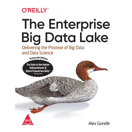 Enterprise Big Data Lake: Delivering the Promise of Big Data and Data Science (Paperback)