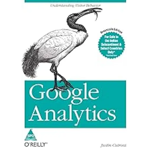 Google Analytics: Understanding Visitor Behavior