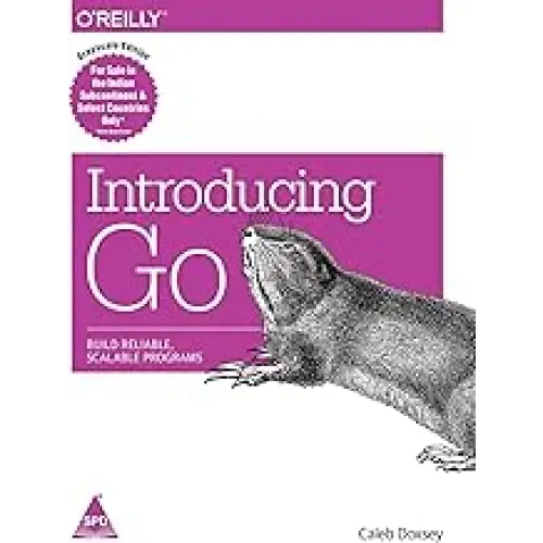 Introducing Go: Build Reliable Scalable Programs