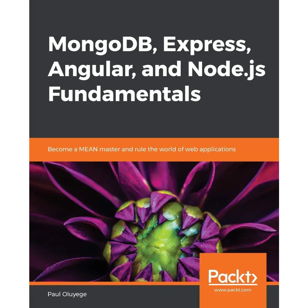 MongoDB Express Angular and Node.js Fundamentals
