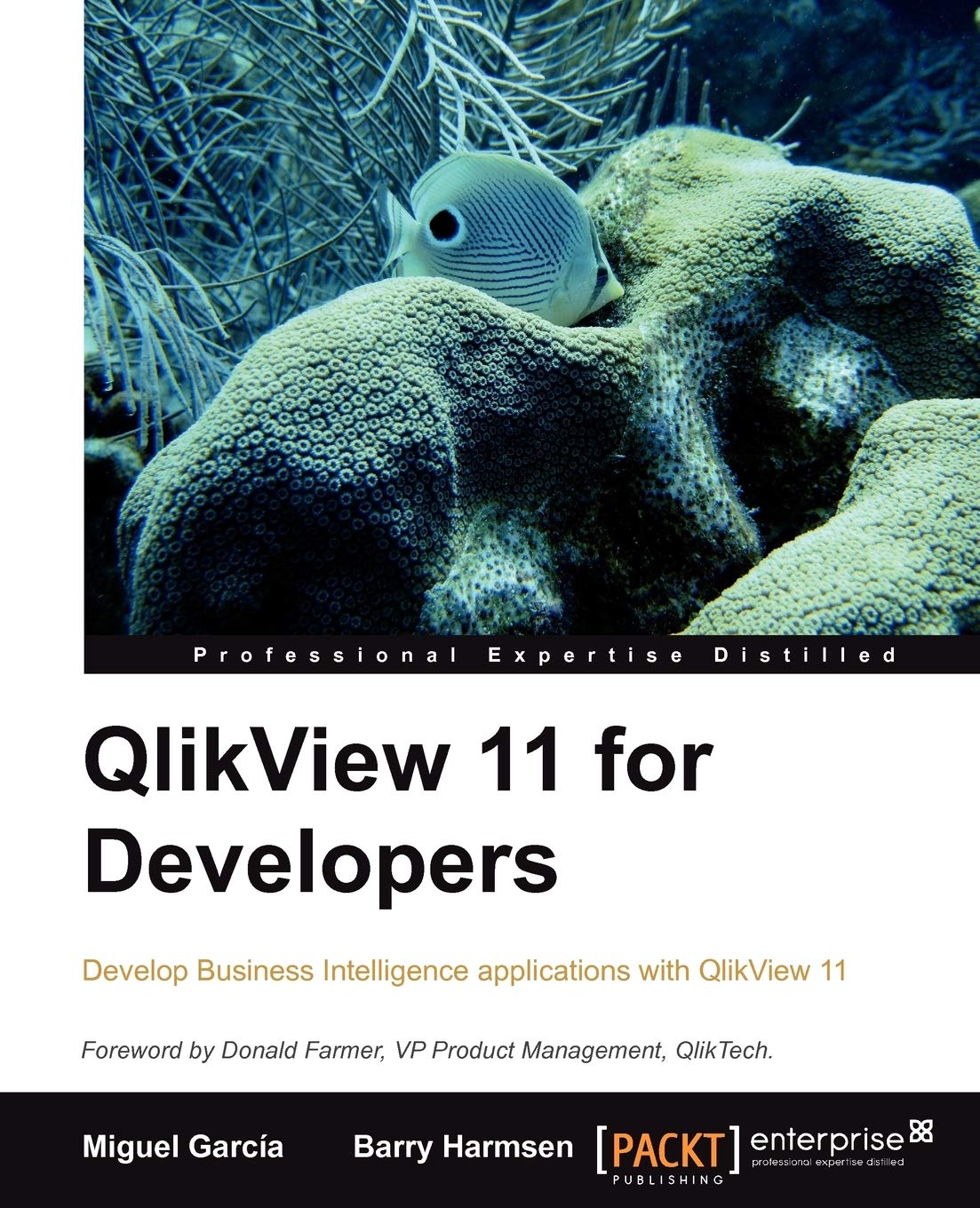 QlikView 11 for Developers - BOOKZONE