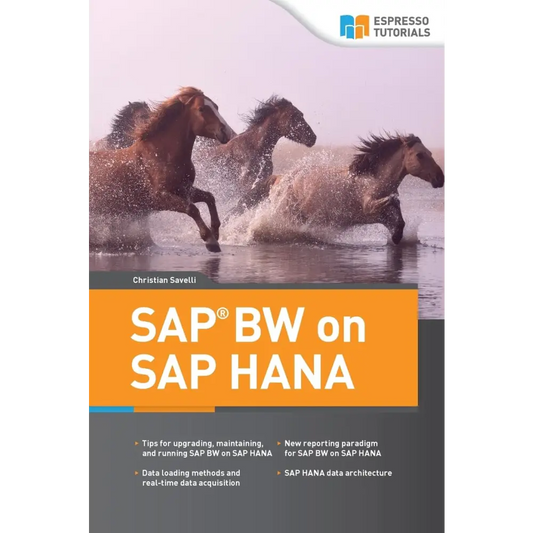 SAP BW on HANA (Paperback)