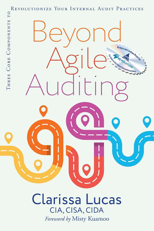 Beyond Agile Auditing: Three Core Components to Revolutionize Your Internal Audit Practice (Grayscale Indian Reprint) Paperback - BOOKZONE
