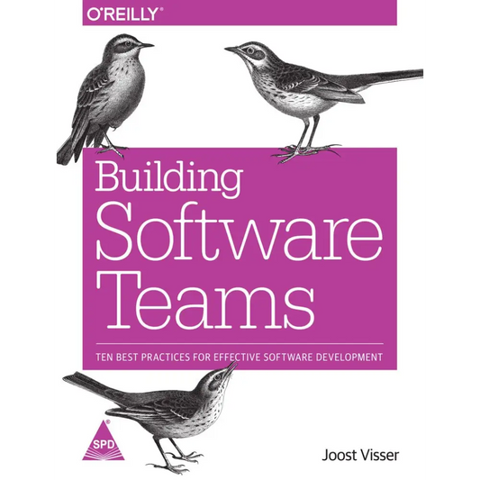 Building Software Teams