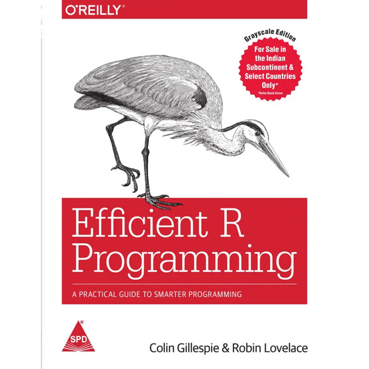 Efficient R Programming: A Practical Guide to Smarter Programming
