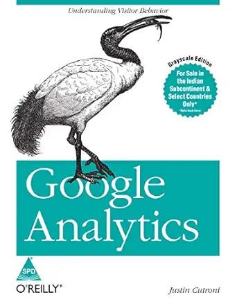 Google Analytics: Understanding Visitor Behavior - BOOKZONE