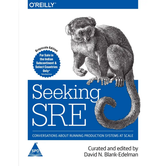 Seeking SRE: Conversations About Running Production Systems at Scale (Paperback)