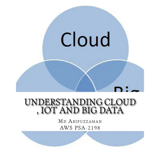 Understanding Cloud Iot and Big Data: Volume 1 (Cloud Iot & Big Data: Basic to Aws Sa Professional) (Paperback)